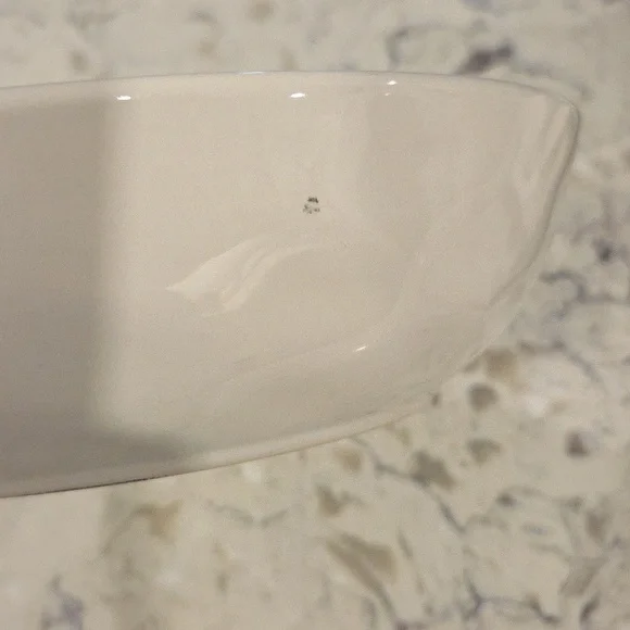 Rae Dunn Cream Dinner Bowl Pet Dog 8inch - Picture 6 of 7